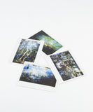 New Orleans Polaroids