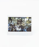 New Orleans Polaroids