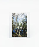 New Orleans Polaroids