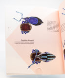 Vernacular Magazine