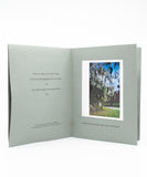 Descriptions of Five Trees I Photographed