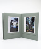 Descriptions of Five Trees I Photographed