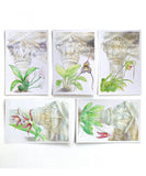 Postcards Set of 5