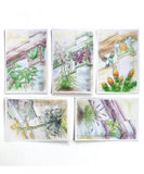 Postcards Set of 5