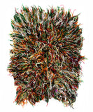 Shag Rugs Envision Unlimited