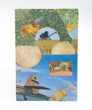 Collaged Sketchbooks