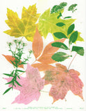 Risograph Flyer