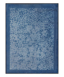 Cyanotype Prints