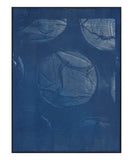 Cyanotype Prints