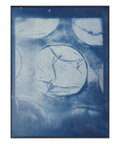 Cyanotype Prints