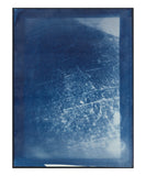 Cyanotype Prints