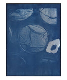 Cyanotype Prints