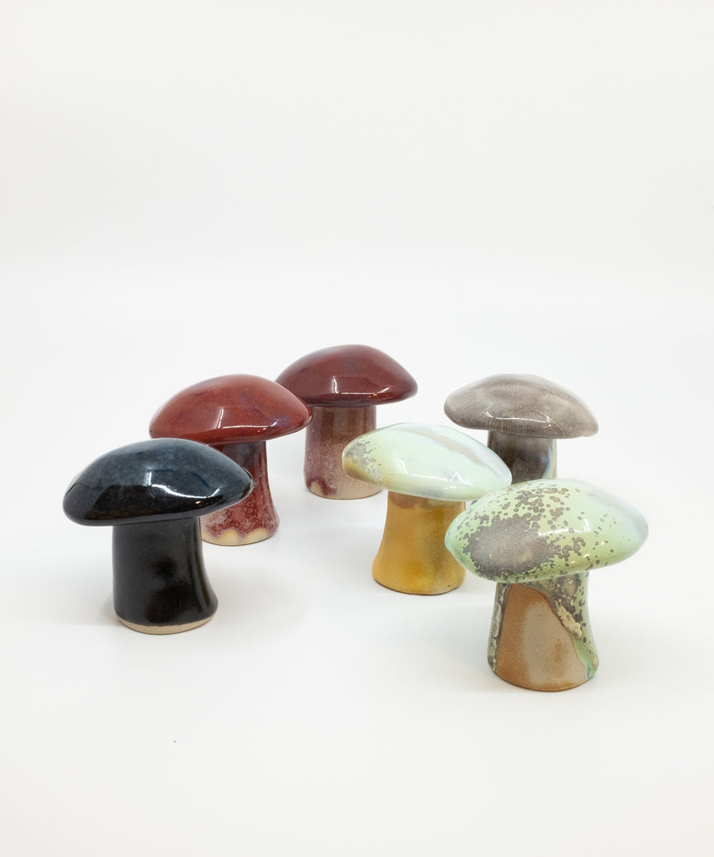 Magic Mushrooms – Buddy Chicago