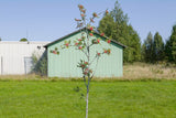 Björkevägen (Birch Road)