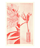 Risograph Print 007: Red Flower