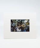 New Orleans Polaroids