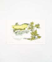 CLP Prints