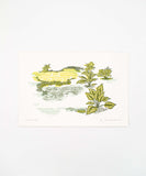 CLP Prints