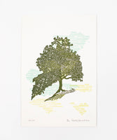 CLP Prints