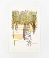CLP Prints