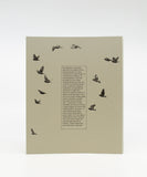 For the Birds Trapped in Airports