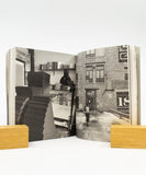 For the Birds Trapped in Airports