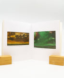 Painting Is a Supreme Fiction: Writings by Jesse Murry, 1980-1993