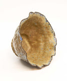 Held in Steady Hands