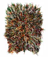 Shag Rugs Envision Unlimited