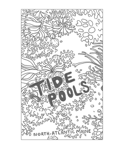 Tide Pools: North-Atlantic Maine