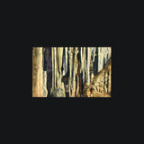 Cave Postcards Book