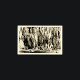 Cave Postcards Book