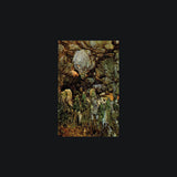 Cave Postcards Book