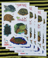 Turtles of the Midwest Sticker Sheet