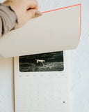 2026 Calendars - Monthly