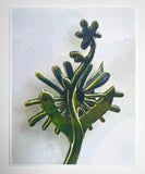 Future Plant Riso