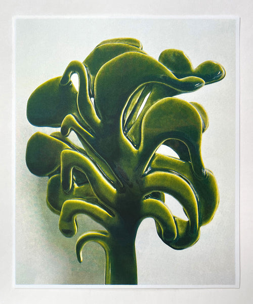 Future Plant Riso