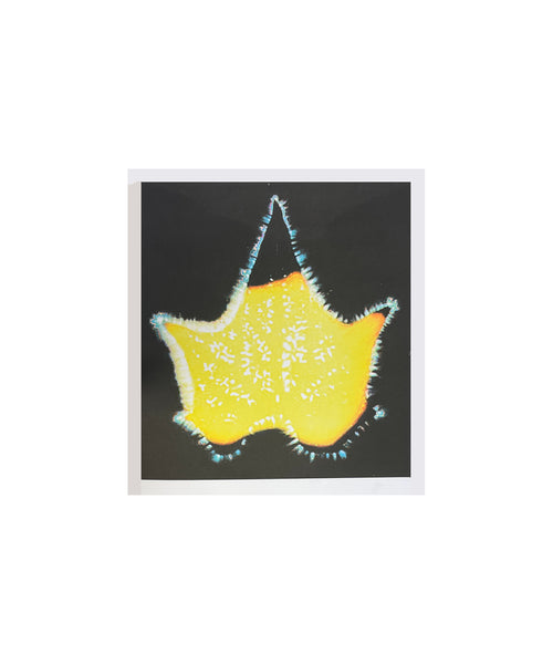 Kirlian Leaf Print