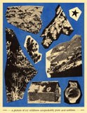 Risograph Flyer