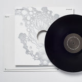 Signal Noise - Sedonis / Merzbow
