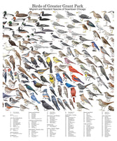 Birds of Grant Park Poster