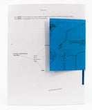 Homophone/Blue Zine
