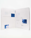 Homophone/Blue Zine