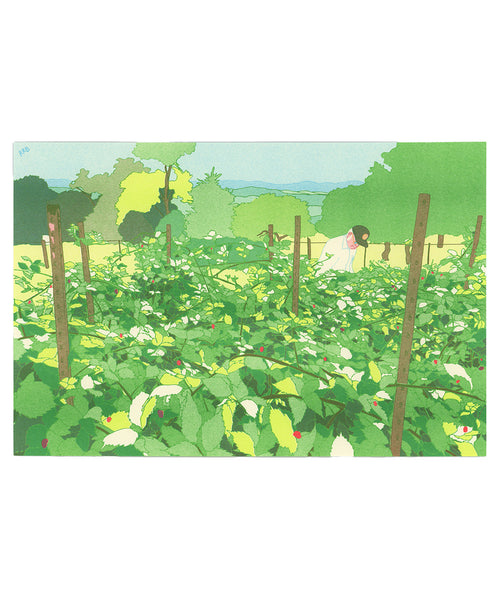 Grandpa Picking Blackberries