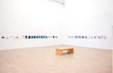 two hundred and fifty-one days, a solo exhibition by Bryana Bibbs, curated by Elise Butterfield