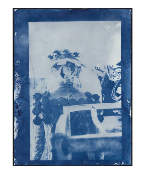 Cyanotype Prints