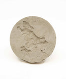 Chicago Rat Hole Coaster