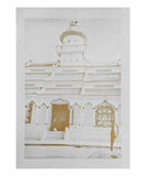 Cao Đài Temple (Study)