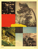 Risograph Flyer