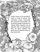 Mushroom Lessons